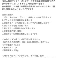 マイファーストキッズパーク ホワイト ジャングルジム 室内 滑り台 折りたたみの画像