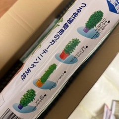 観葉植物の支柱、プラヘゴ７本の画像