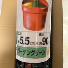 観葉植物の支柱、プラヘゴ７本の画像