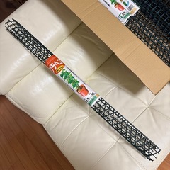 観葉植物の支柱、プラヘゴ７本の画像