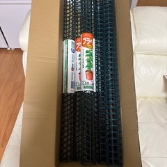 観葉植物の支柱、プラヘゴ７本の画像