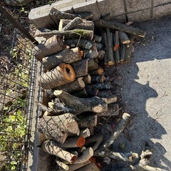 焚き付け用　薪の画像