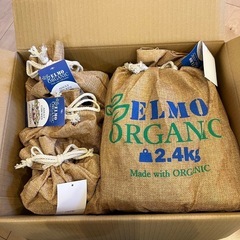 ペットフード　犬用の画像