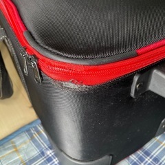 カメラ キャリーケース NEEWERの画像