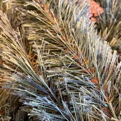 studio CLIP CHRISTMAS ツリー150cmの画像