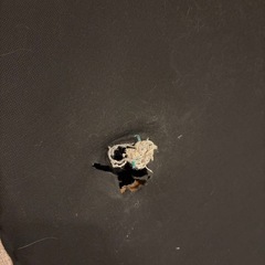 リクライニング付きローソファー   の画像