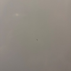 HITACHI 洗濯機の画像