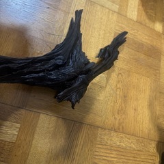  流木　アクアリウム　テラリウムの画像