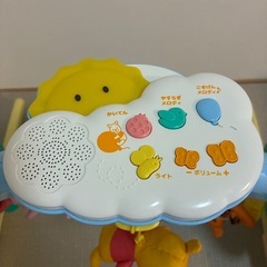 プーメリーの画像