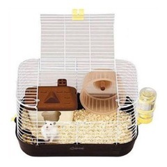 大きな扉のショコラハウス　の画像