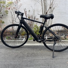 Fuji　MOTIVATOR  の画像