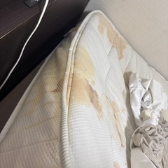 無料ニトリ
セミダブルマットレス（120×200）※汚れありの画像