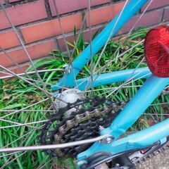 LOUIS GARNEAU 「ルイガノ」 LGS-TR2 の画像