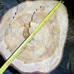 引き取り限定！玉切り薪にいかがですか？（ヒマラヤスギ）の画像