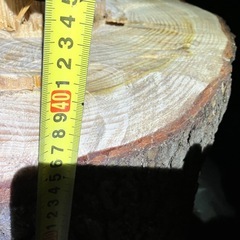 引き取り限定！玉切り薪にいかがですか？（ヒマラヤスギ）の画像