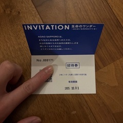 アオアオサッポロ　入場券の画像