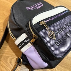 ミニリュック　美品の画像