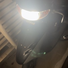 ライブDIO実車の画像