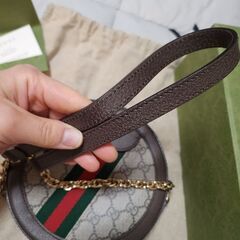 Gucci, グッチオディバックの画像