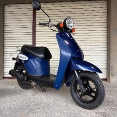 ✨ホンダ・トゥデイ✨の画像