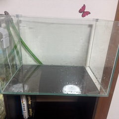 水槽の画像