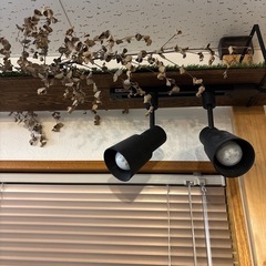 💡ライト2個の画像