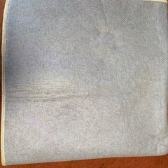 ニトリラグ①の画像