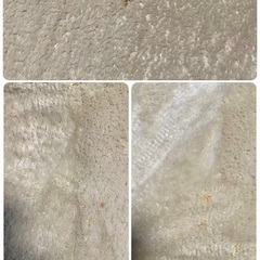 ニトリラグ①の画像