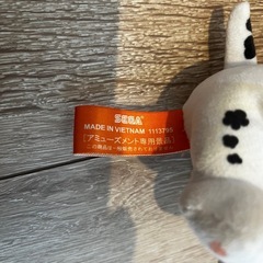 パウパトの画像