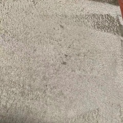 ニトリラグ②の画像