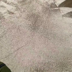 ニトリラグ②の画像