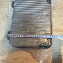 キャリーケース　ハンドバッグの画像