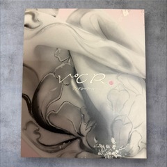 小林照子プロデュース ヴィドシーアール CS-2000R 温熱振動EMS付美顔器の画像