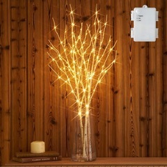 白樺　イルミネーション　の画像