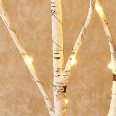 白樺　イルミネーション　の画像