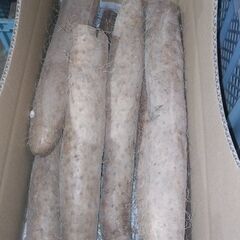 訳ありカット品長芋4ｋ（年内対応可能）の画像