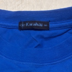 沖縄 猫Tシャツの画像