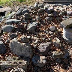 チャート　赤石　日本庭園　DIY　丸石　造園の画像