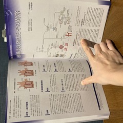 臨床心臓発生学の画像