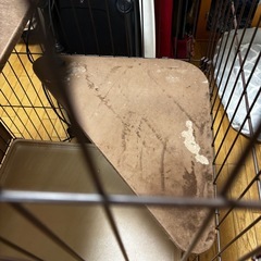 2段キャットゲージの画像