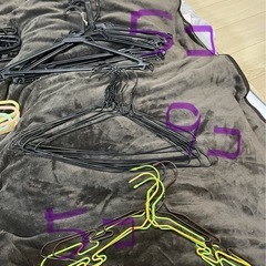 ハンガー34本
セットの画像