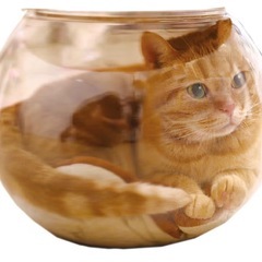 【美品】キャティーマン にゃんこの金魚鉢の画像