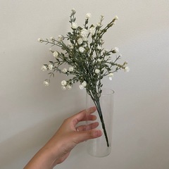 フェイクグリーン、カスミソウ？の画像