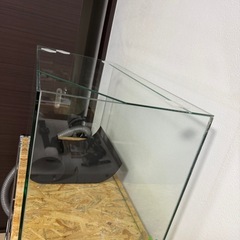 60cm 水槽の画像