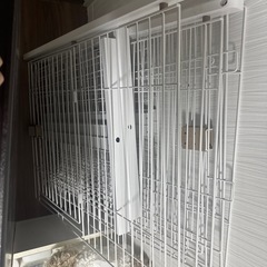 猫用2段ゲージの画像