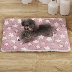 キャットゲージ美品 おまけ付きの画像