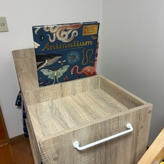 子供用(0-10歳くらいまで)洋服収納の画像