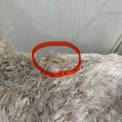 Francfranc フランフラン　ヌボカステラグ 140×200 ラメ入り／中古の画像