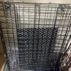 子猫用ケージの画像