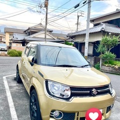 スズキ　イグニス　65万円